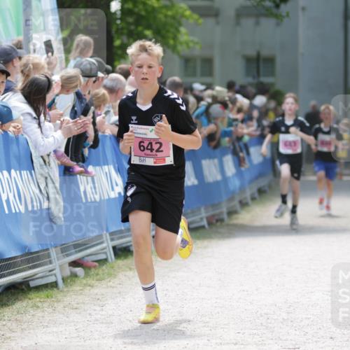 17.05.2025 - Störlauf H.Heesch http://msf.ph/oto/7894920 17.05.2025 13:55:33 Ziel 2025, 642 meine-sportfotos.de