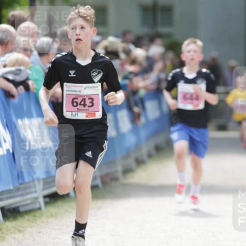 17.05.2025 - Störlauf H.Heesch http://msf.ph/oto/7894926 17.05.2025 13:55:35 Ziel 2025, 643, 644 meine-sportfotos.de