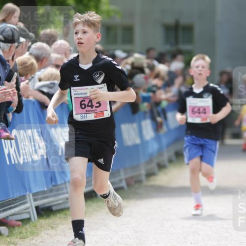17.05.2025 - Störlauf H.Heesch http://msf.ph/oto/7894930 17.05.2025 13:55:35 Ziel 96, 645, 644, 10 meine-sportfotos.de