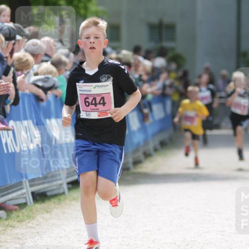 17.05.2025 - Störlauf H.Heesch http://msf.ph/oto/7894938 17.05.2025 13:55:37 Ziel 2025, 644 meine-sportfotos.de