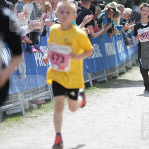 17.05.2025 - Störlauf H.Heesch http://msf.ph/oto/7894955 17.05.2025 13:55:42 Ziel 649, 473, 645, 486 meine-sportfotos.de