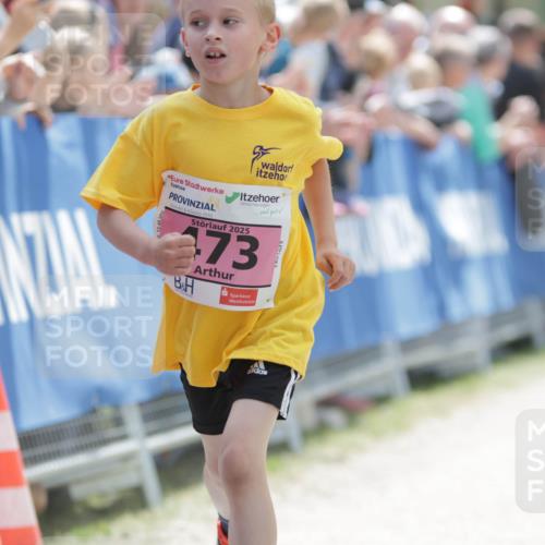 17.05.2025 - Störlauf H.Heesch http://msf.ph/oto/7894959 17.05.2025 13:55:43 Ziel 2025, 73 meine-sportfotos.de