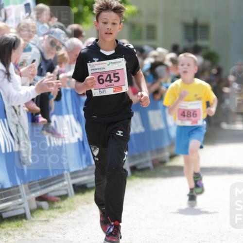 17.05.2025 - Störlauf H.Heesch http://msf.ph/oto/7894964 17.05.2025 13:55:45 Ziel 2025, 645, 10, 486 meine-sportfotos.de