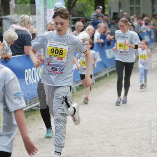 17.05.2025 - Störlauf H.Heesch http://msf.ph/oto/7894965 17.05.2025 14:15:29 Ziel 795, 2025, 908, 76, 802, 891 meine-sportfotos.de