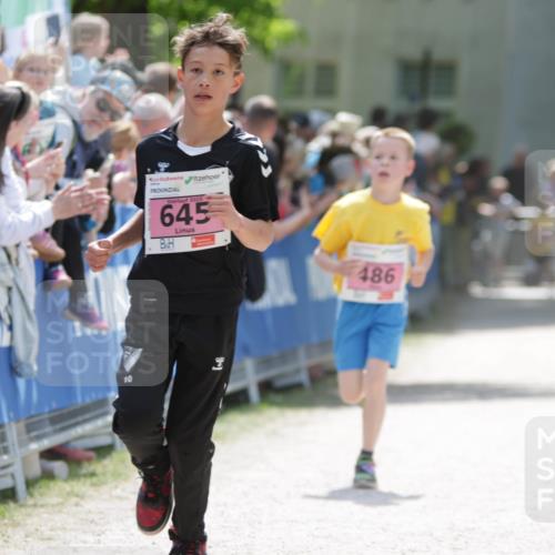 17.05.2025 - Störlauf H.Heesch http://msf.ph/oto/7894968 17.05.2025 13:55:45 Ziel 2025, 645, 486 meine-sportfotos.de