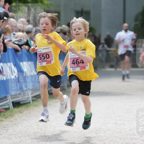 17.05.2025 - Störlauf H.Heesch http://msf.ph/oto/7894987 17.05.2025 13:55:54 Ziel 2025, 550, 20, 464 meine-sportfotos.de