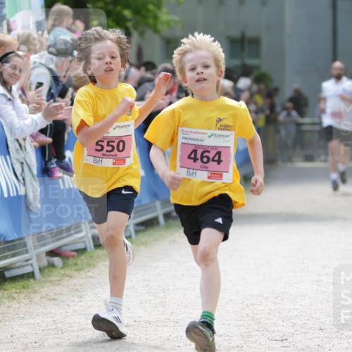 17.05.2025 - Störlauf H.Heesch http://msf.ph/oto/7894989 17.05.2025 13:55:54 Ziel 2025, 550, 2025, 464 meine-sportfotos.de