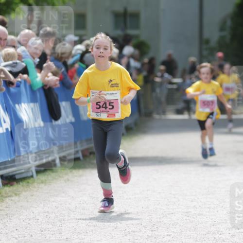 17.05.2025 - Störlauf H.Heesch http://msf.ph/oto/7895021 17.05.2025 13:56:06 Ziel 2025, 545, 507 meine-sportfotos.de