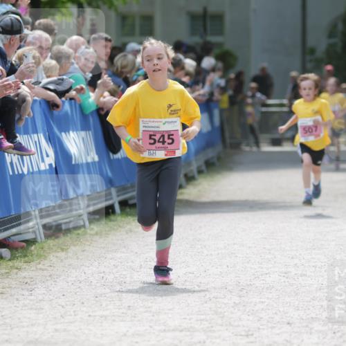 17.05.2025 - Störlauf H.Heesch http://msf.ph/oto/7895027 17.05.2025 13:56:06 Ziel 2025, 545, 507 meine-sportfotos.de