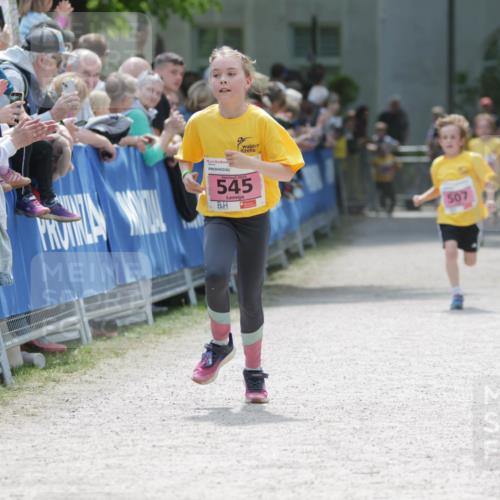17.05.2025 - Störlauf H.Heesch http://msf.ph/oto/7895029 17.05.2025 13:56:07 Ziel 545, 507 meine-sportfotos.de