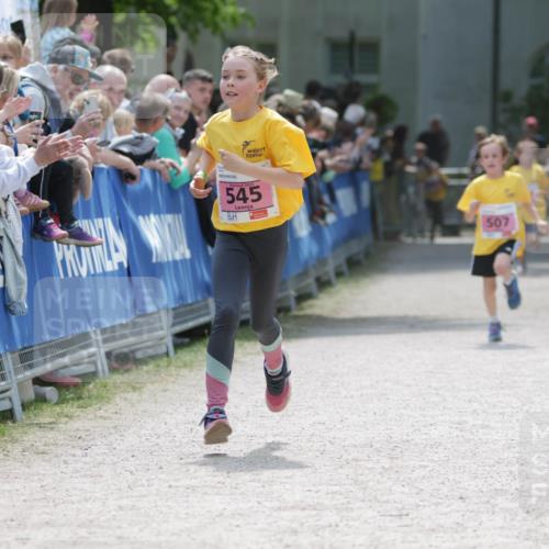 17.05.2025 - Störlauf H.Heesch http://msf.ph/oto/7895032 17.05.2025 13:56:07 Ziel 2025, 545, 507 meine-sportfotos.de