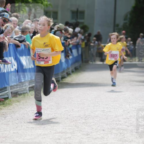 17.05.2025 - Störlauf H.Heesch http://msf.ph/oto/7895034 17.05.2025 13:56:07 Ziel 545, 507 meine-sportfotos.de