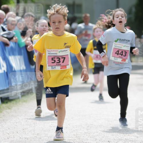 17.05.2025 - Störlauf H.Heesch http://msf.ph/oto/7895051 17.05.2025 13:56:15 Ziel 2025, 537, 2021, 443 meine-sportfotos.de