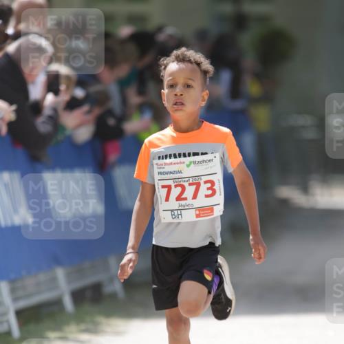 17.05.2025 - Störlauf H.Heesch http://msf.ph/oto/7895110 17.05.2025 13:01:46 Ziel 2025, 7273 meine-sportfotos.de