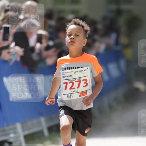 17.05.2025 - Störlauf H.Heesch http://msf.ph/oto/7895116 17.05.2025 13:01:46 Ziel 2025, 7273 meine-sportfotos.de