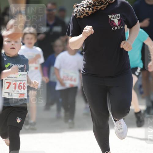 17.05.2025 - Störlauf H.Heesch http://msf.ph/oto/7895146 17.05.2025 13:02:02 Ziel 2025, 7168, 633, 2844, 33 meine-sportfotos.de