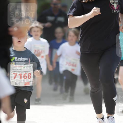 17.05.2025 - Störlauf H.Heesch http://msf.ph/oto/7895148 17.05.2025 13:02:02 Ziel 2025, 7168, 7061, 7544, 3 meine-sportfotos.de