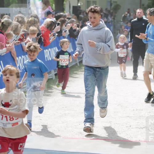 17.05.2025 - Störlauf H.Heesch http://msf.ph/oto/7895188 17.05.2025 13:02:19 Ziel 229, 7090, 718 meine-sportfotos.de