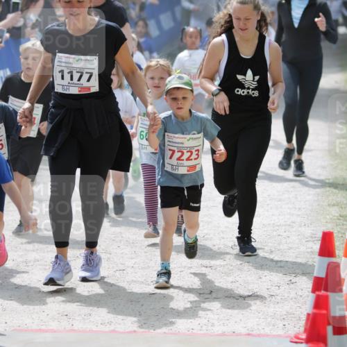17.05.2025 - Störlauf H.Heesch http://msf.ph/oto/7895210 17.05.2025 13:02:25 Ziel 2025, 6, 2025, 7111, 1177, 60, 2025, 7223 meine-sportfotos.de