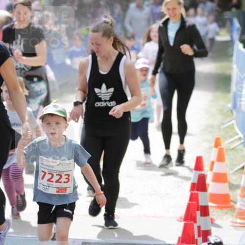 17.05.2025 - Störlauf H.Heesch http://msf.ph/oto/7895216 17.05.2025 13:02:27 Ziel 2025, 1177, 2025, 7223 meine-sportfotos.de