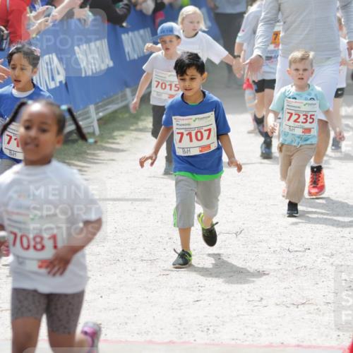 17.05.2025 - Störlauf H.Heesch http://msf.ph/oto/7895223 17.05.2025 13:02:31 Ziel 71, 7081, 7015, 2025, 7107, 7235 meine-sportfotos.de