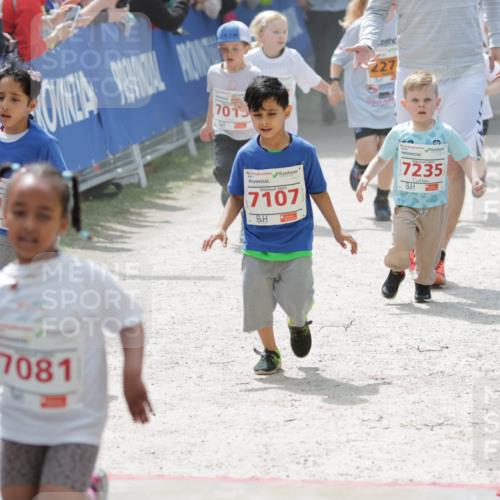 17.05.2025 - Störlauf H.Heesch http://msf.ph/oto/7895225 17.05.2025 13:02:31 Ziel 7015, 7081, 2025, 7107, 227, 2025, 7235 meine-sportfotos.de