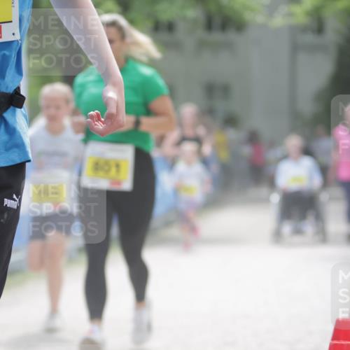 17.05.2025 - Störlauf H.Heesch http://msf.ph/oto/7895261 17.05.2025 14:16:57 Ziel 14, 601 meine-sportfotos.de