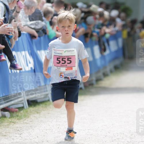 17.05.2025 - Störlauf H.Heesch http://msf.ph/oto/7895268 17.05.2025 13:56:23 Ziel 2025, 555, 100 meine-sportfotos.de
