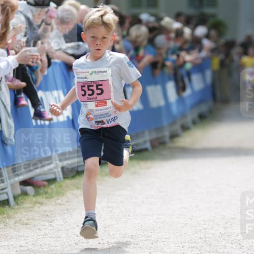 17.05.2025 - Störlauf H.Heesch http://msf.ph/oto/7895277 17.05.2025 13:56:23 Ziel 2025, 555, 25 meine-sportfotos.de