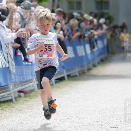 17.05.2025 - Störlauf H.Heesch http://msf.ph/oto/7895285 17.05.2025 13:56:23 Ziel 2025, 55 meine-sportfotos.de