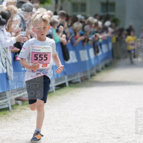 17.05.2025 - Störlauf H.Heesch http://msf.ph/oto/7895289 17.05.2025 13:56:23 Ziel 2025, 555 meine-sportfotos.de