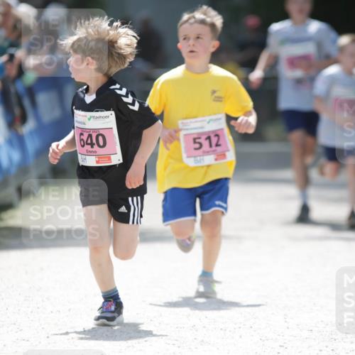 17.05.2025 - Störlauf H.Heesch http://msf.ph/oto/7895302 17.05.2025 13:56:30 Ziel 2025, 40, 640, 512 meine-sportfotos.de