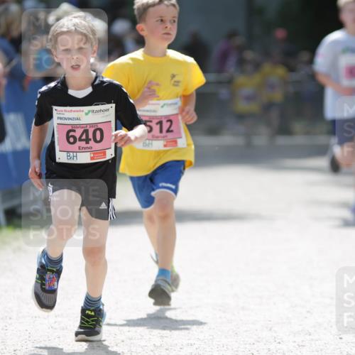 17.05.2025 - Störlauf H.Heesch http://msf.ph/oto/7895307 17.05.2025 13:56:31 Ziel 512, 2025, 640 meine-sportfotos.de