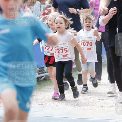 17.05.2025 - Störlauf H.Heesch http://msf.ph/oto/7895308 17.05.2025 13:02:52 Ziel 202, 2025, 727, 7275, 2025, 7070 meine-sportfotos.de
