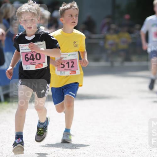 17.05.2025 - Störlauf H.Heesch http://msf.ph/oto/7895312 17.05.2025 13:56:31 Ziel 202, 640, 512, 5201 meine-sportfotos.de