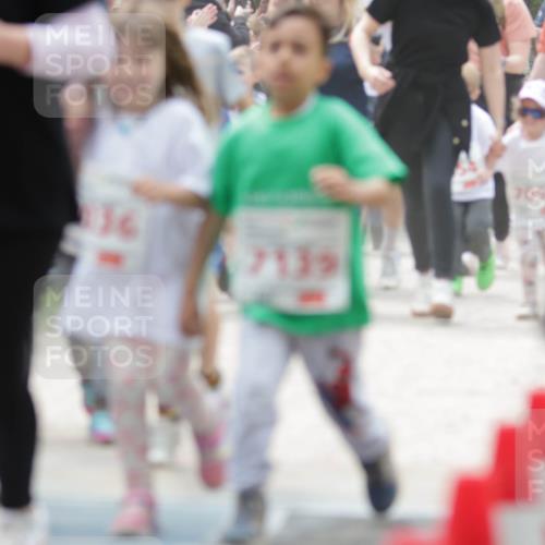 17.05.2025 - Störlauf H.Heesch http://msf.ph/oto/7895317 17.05.2025 13:02:54 Ziel 136, 7139, 7058, 705 meine-sportfotos.de