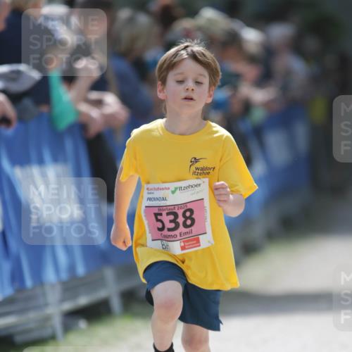 17.05.2025 - Störlauf H.Heesch http://msf.ph/oto/7895369 17.05.2025 13:56:39 Ziel 2025, 538 meine-sportfotos.de