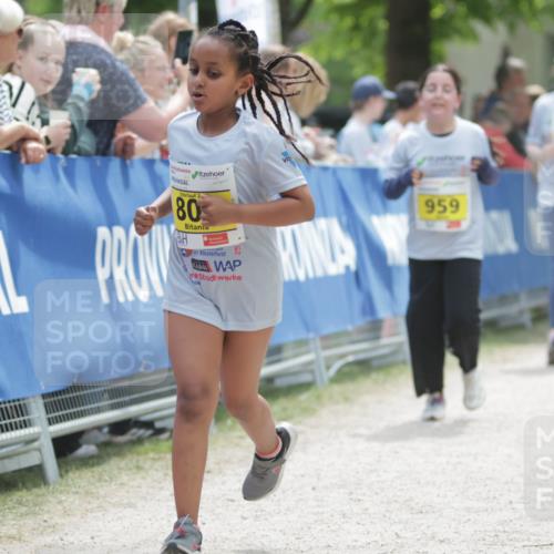 17.05.2025 - Störlauf H.Heesch http://msf.ph/oto/7895448 17.05.2025 14:17:12 Ziel 2, 80, 25, 959, 961 meine-sportfotos.de