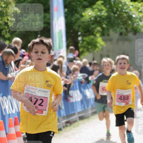17.05.2025 - Störlauf H.Heesch http://msf.ph/oto/7895532 17.05.2025 13:57:03 Ziel 2025, 172, 488 meine-sportfotos.de
