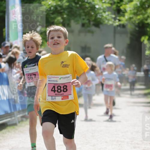 17.05.2025 - Störlauf H.Heesch http://msf.ph/oto/7895549 17.05.2025 13:57:04 Ziel 667, 2025, 488 meine-sportfotos.de