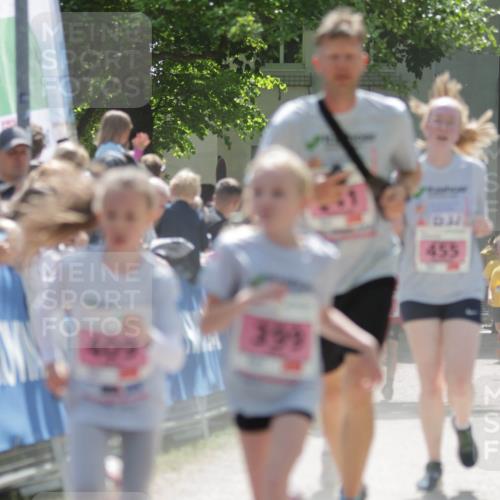 17.05.2025 - Störlauf H.Heesch http://msf.ph/oto/7895562 17.05.2025 13:57:06 Ziel 335, 409, 455 meine-sportfotos.de