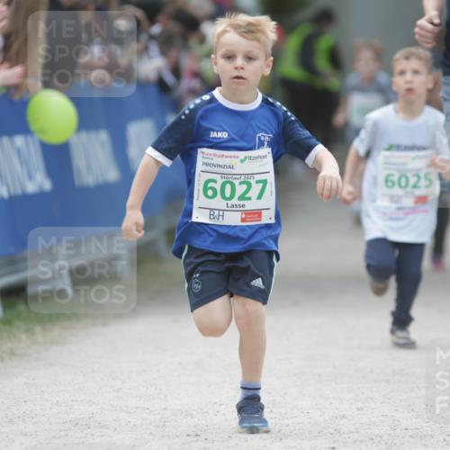 17.05.2025 - Störlauf H.Heesch http://msf.ph/oto/7895572 17.05.2025 13:16:36 Ziel 2025, 6027, 6025 meine-sportfotos.de