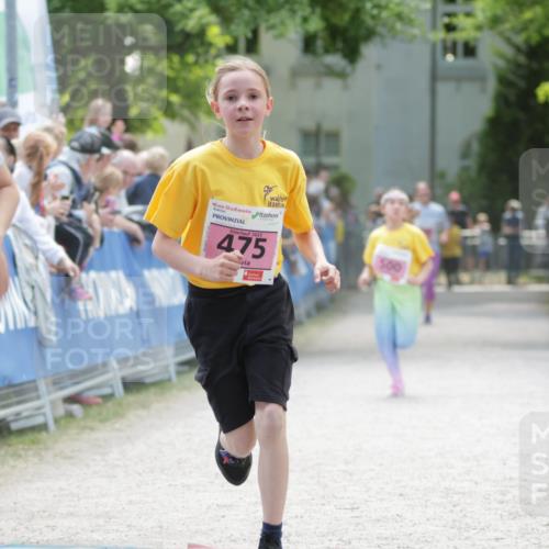 17.05.2025 - Störlauf H.Heesch http://msf.ph/oto/7895638 17.05.2025 13:57:18 Ziel 2025, 450, 2025, 475 meine-sportfotos.de