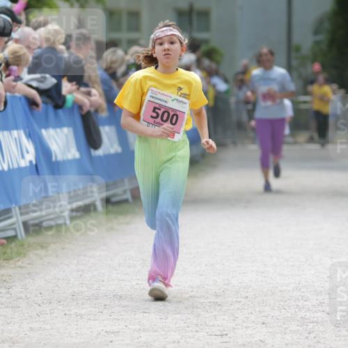 17.05.2025 - Störlauf H.Heesch http://msf.ph/oto/7895652 17.05.2025 13:57:19 Ziel 2025, 500 meine-sportfotos.de