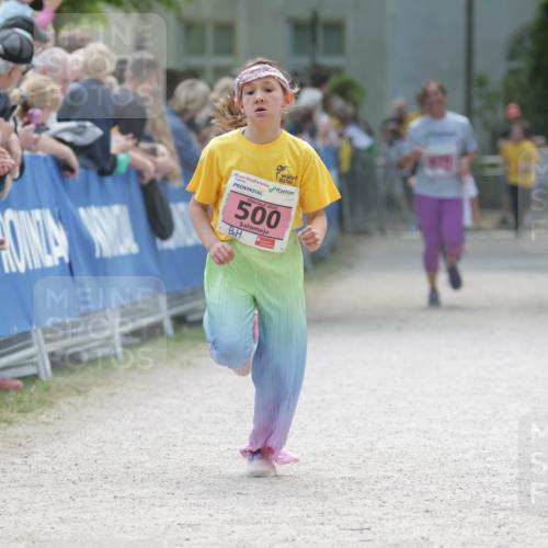 17.05.2025 - Störlauf H.Heesch http://msf.ph/oto/7895657 17.05.2025 13:57:19 Ziel 500 meine-sportfotos.de
