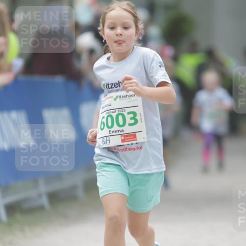 17.05.2025 - Störlauf H.Heesch http://msf.ph/oto/7895663 17.05.2025 13:17:10 Ziel 2025, 6003, 6 meine-sportfotos.de