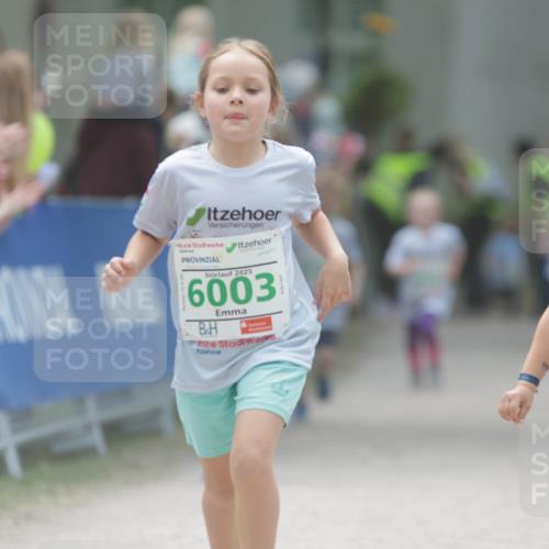 17.05.2025 - Störlauf H.Heesch http://msf.ph/oto/7895667 17.05.2025 13:17:11 Ziel 2025, 6003, 2025, 602, 12 meine-sportfotos.de