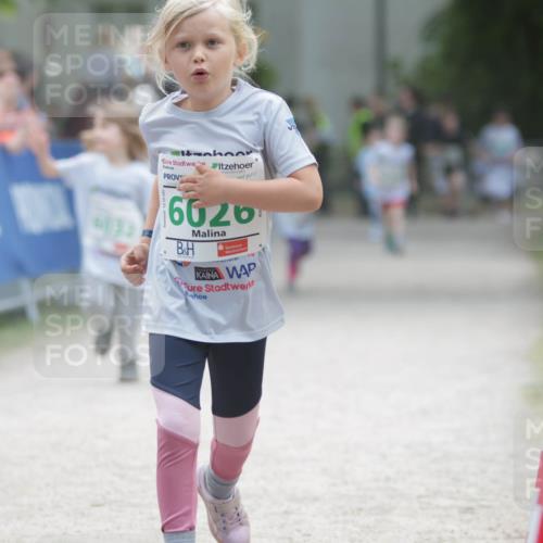 17.05.2025 - Störlauf H.Heesch http://msf.ph/oto/7895674 17.05.2025 13:17:13 Ziel 6026 meine-sportfotos.de