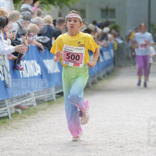 17.05.2025 - Störlauf H.Heesch http://msf.ph/oto/7895675 17.05.2025 13:57:20 Ziel 5, 2025, 500 meine-sportfotos.de