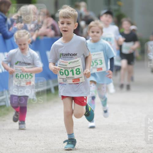 17.05.2025 - Störlauf H.Heesch http://msf.ph/oto/7895697 17.05.2025 13:17:22 Ziel 6005, 2025, 6018, 053 meine-sportfotos.de